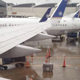 Illustration for article titled United Airlines Allegedly Leaves Caged Dog Unattended In The Cold Rain